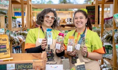 expo indap 2025: sabores y artesanía de valparaíso en quinta vergara