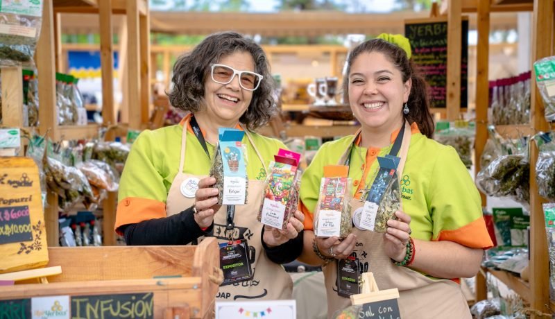 expo indap 2025: sabores y artesanía de valparaíso en quinta vergara