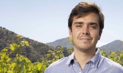 pablo prieto: nuevo enólogo lidera gran reserva en viña carmen