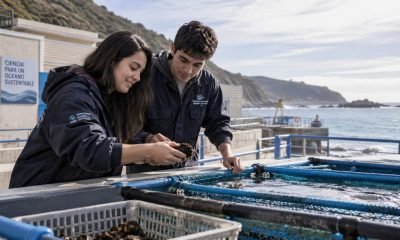 Dos personas observan un organismo marino junto a estanques en una instalación costera.