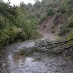Sendero anegado y árbol caído tras lluvias en una reserva natural