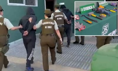carabineros de san felipe detienen a 11 y frustran robo