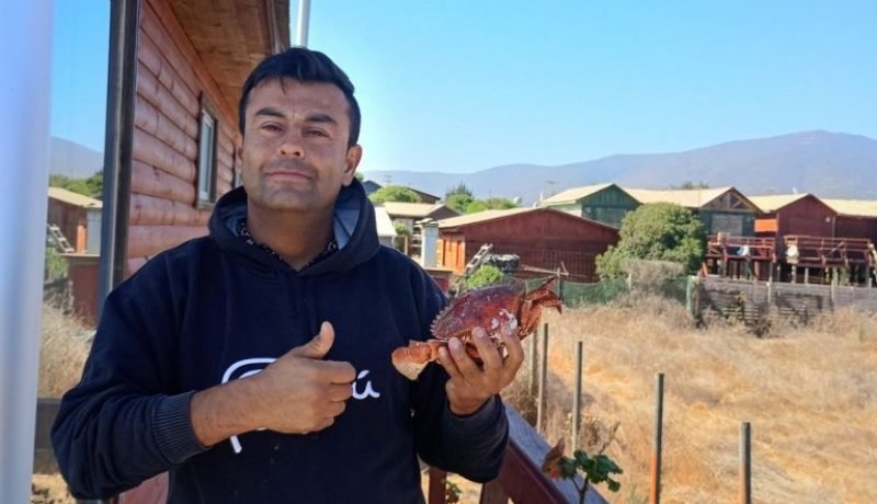 dos meses sin rastro: nogalino herman ansaldo díaz desaparecido en el sur