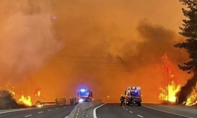 alerta por incendios forestales en valparaíso: ¡protégete!