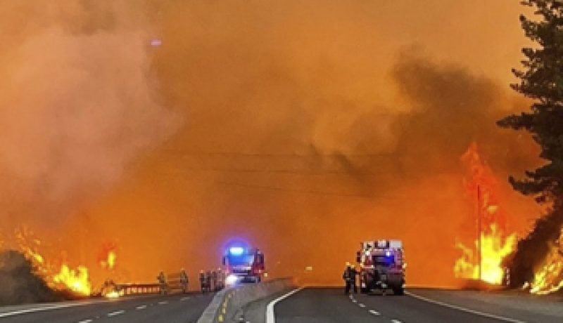 alerta por incendios forestales en valparaíso: ¡protégete!