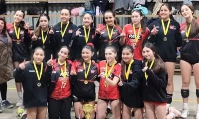 paul harris quillota: campeón regional invito vóleibol sub 14