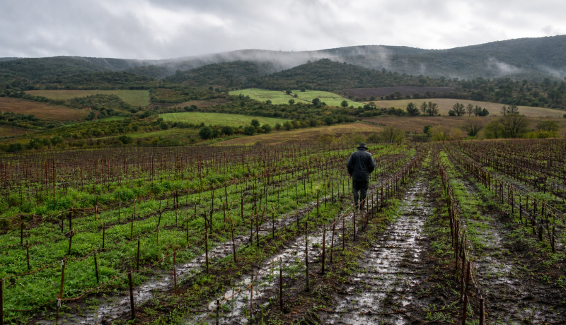 Campos agrícolas de Casablanca después de las lluvias