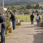 Representación editorial de emprendedores preparando puestos de artesanía y alimentos en una feria rural