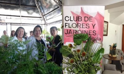 quillota celebra exitosa muestra del club de flores y jardines