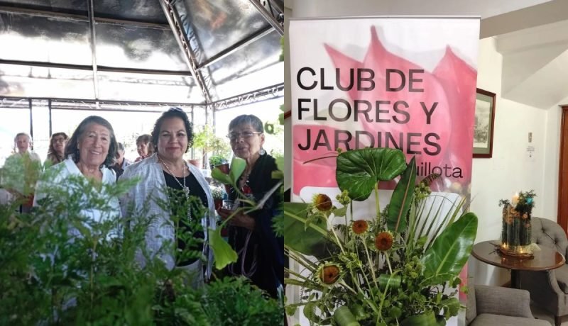 quillota celebra exitosa muestra del club de flores y jardines