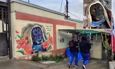 mural en homenaje a “negrito” tras su muerte violenta en el hospital de quilpué