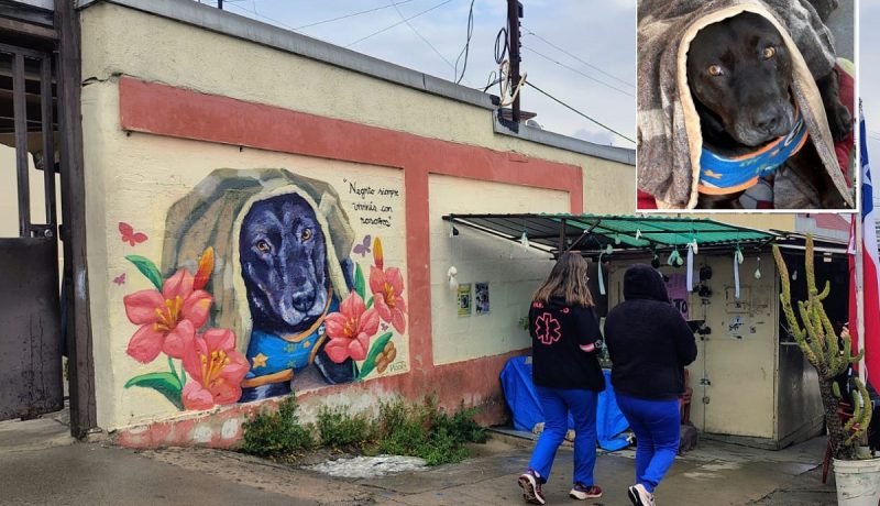 mural en homenaje a “negrito” tras su muerte violenta en el hospital de quilpué