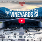viña vik n°1 del mundo: orgullo para chile y su vino