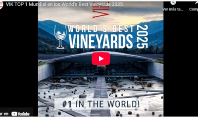 viña vik n°1 del mundo: orgullo para chile y su vino