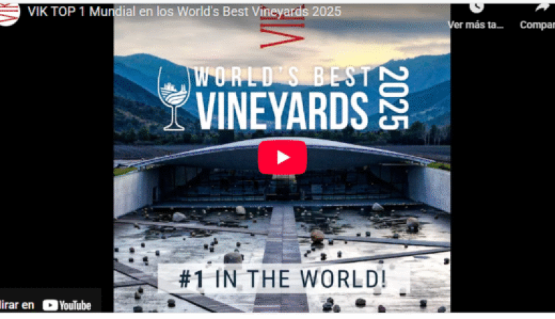 viña vik n°1 del mundo: orgullo para chile y su vino