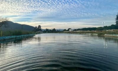 rehabilitan la poza cristalina: nuevo parque urbano en la cruz