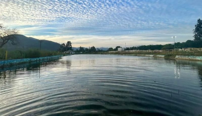 rehabilitan la poza cristalina: nuevo parque urbano en la cruz