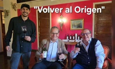 bienestar en aconcagua: alianza de vino, salud y montañismo
