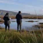 Equipo técnico observa un humedal urbano de la Región de Valparaíso