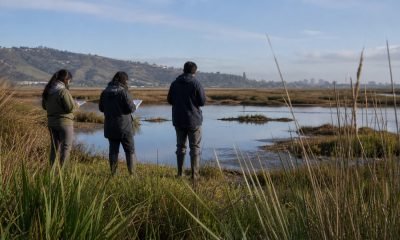 Equipo técnico observa un humedal urbano de la Región de Valparaíso