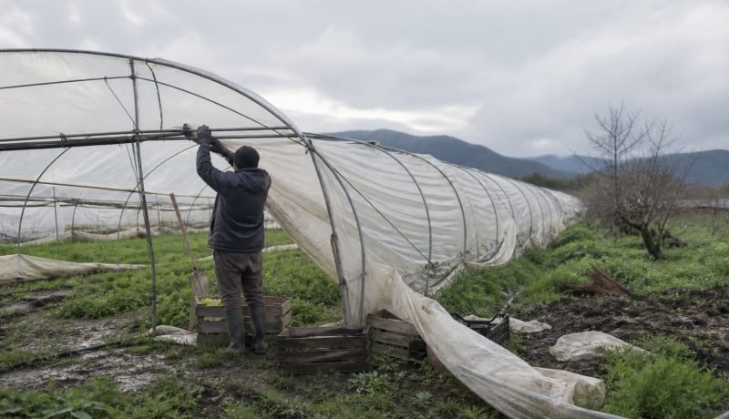Agricultor repara un invernadero después de las lluvias