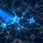 Ilustración editorial de neuronas activadas por un haz de luz azul
