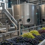 Uvas en una línea de procesamiento alimentario conectada a sensores digitales