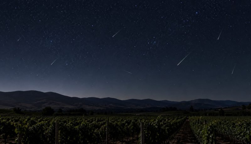 Lluvia de meteoros sobre viñedos y lomas del valle de Casablanca en una imagen ilustrativa