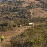 Brigadistas forestales en una zona rural de la Región de Valparaíso