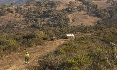 Brigadistas forestales en una zona rural de la Región de Valparaíso
