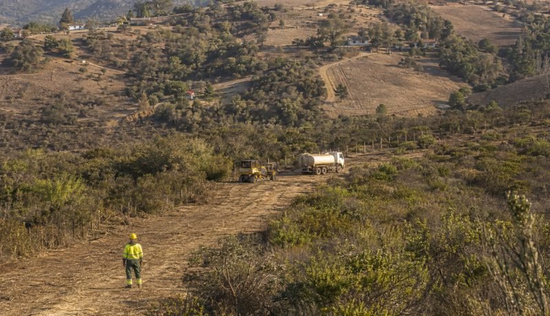 Brigadistas forestales en una zona rural de la Región de Valparaíso