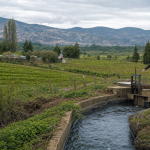 Agricultores revisan una compuerta de riego junto a viñedos del valle de Casablanca
