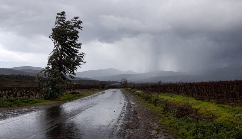 Camino rural y viñedos de Casablanca bajo nubes oscuras y lluvia
