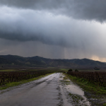 Camino rural y viñedos de Casablanca bajo nubes de un sistema frontal