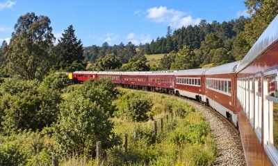 Tren de pasajeros rojo recorre una vía curva entre árboles y vegetación