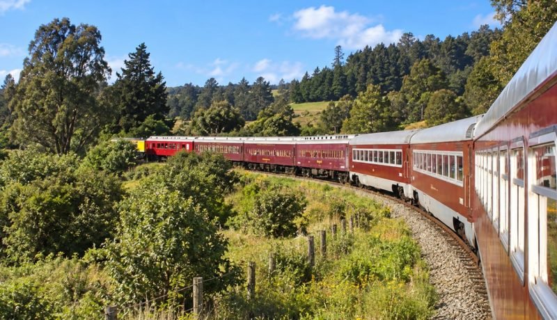 Tren de pasajeros rojo recorre una vía curva entre árboles y vegetación