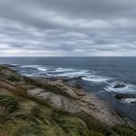 Costa rocosa bajo cielo cubierto y vegetación inclinada por el viento
