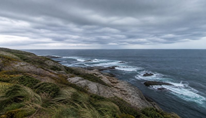 Costa rocosa bajo cielo cubierto y vegetación inclinada por el viento